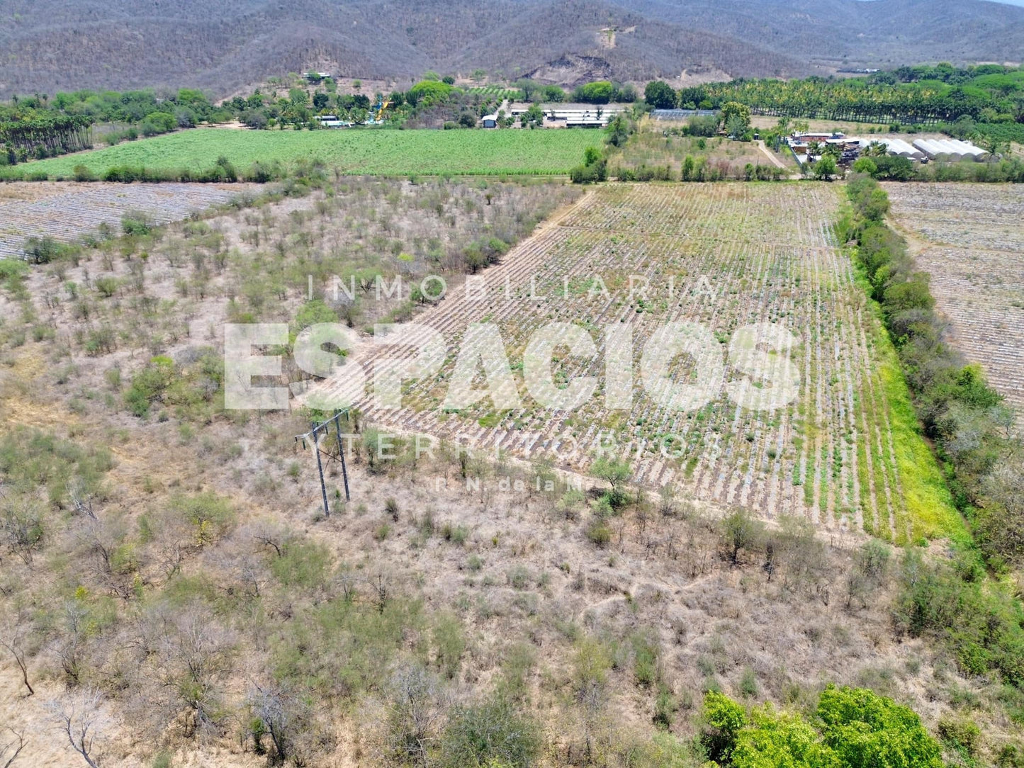 Terreno Ideal para Proyectos Industriales