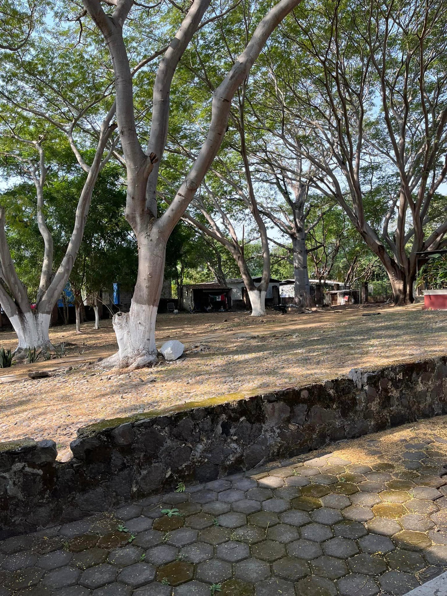 Gran Casa en Renta en El Trapiche